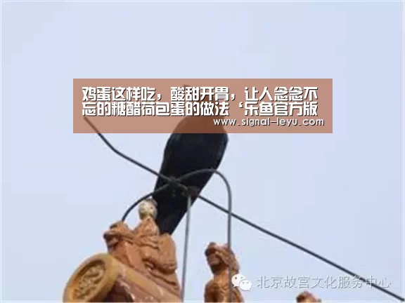 鸡蛋这样吃,酸甜开胃,让人念念不忘的糖醋荷包蛋的做法‘乐鱼官方版正版安装’(图2) 乐鱼app手机版下载