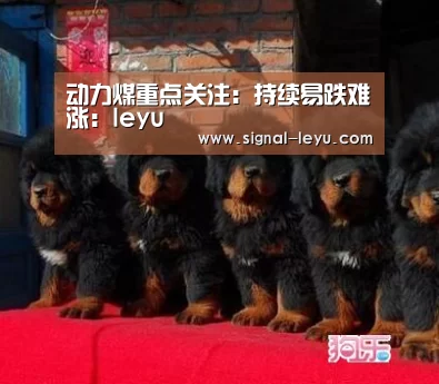 动力煤重点关注:持续易跌难涨:leyu(图2) 乐鱼app手机版下载