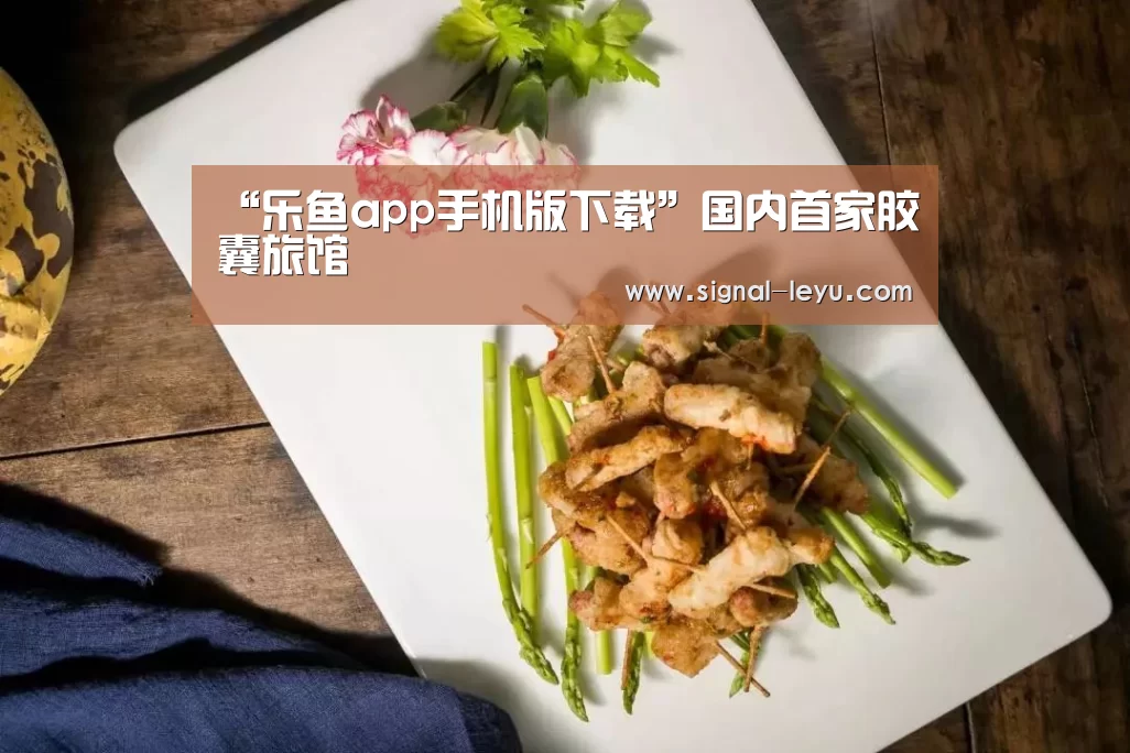 “乐鱼app手机版下载”国内首家胶囊旅馆
