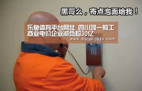 乐鱼体育平台网址_四川降一般工商业电价企业减负超30亿(图2)