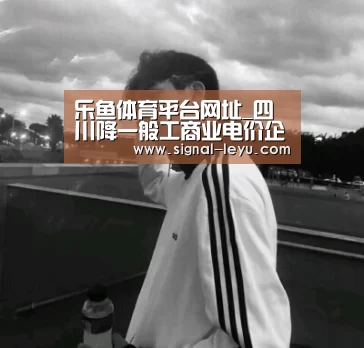 乐鱼体育平台网址_四川降一般工商业电价企业减负超30亿