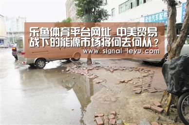 乐鱼体育平台网址_中美贸易战下的能源市场将何去何从?(图4) 乐鱼体育平台网址