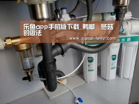 乐鱼app手机版下载_鸭脚燜冬菇的做法