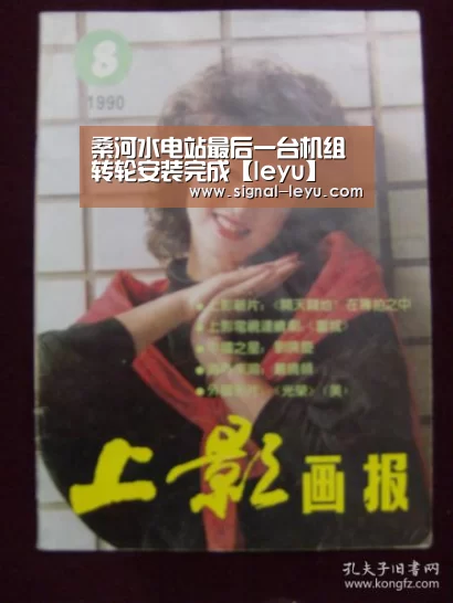 桑河水电站最后一台机组转轮安装完成【leyu】