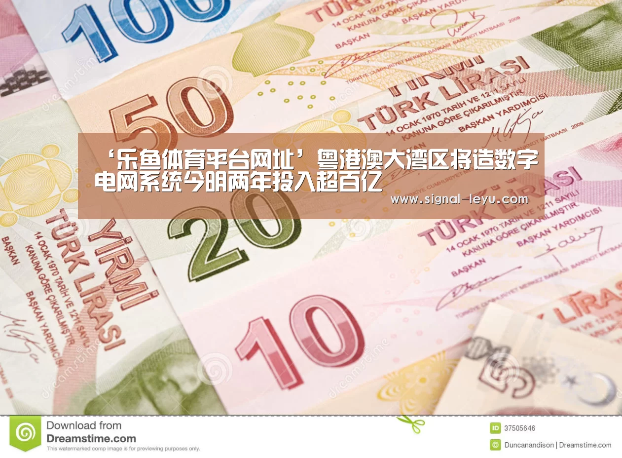 ‘乐鱼体育平台网址’粤港澳大湾区将造数字