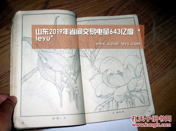 乐鱼体育平台网址