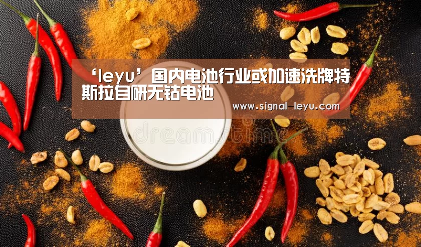 ‘leyu’国内电池行业或加速洗牌特斯拉自研无钴电池(图3) 乐鱼app手机版下载