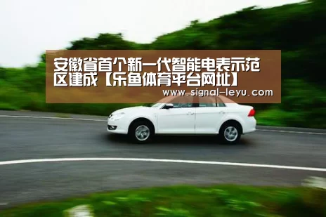 安徽省首个新一代智能电表示范区建成【乐鱼体育平台网址】(图2) 安徽省首个新一代智能电表示范区建成【乐鱼体育平台网址】(图2)